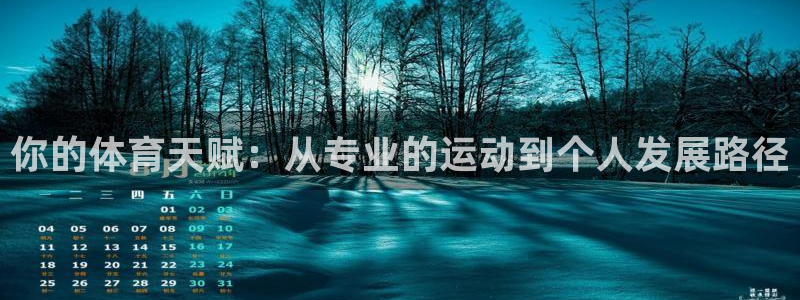 成都领航国际电子有限公司