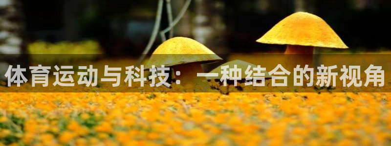 领航国际体育1招商