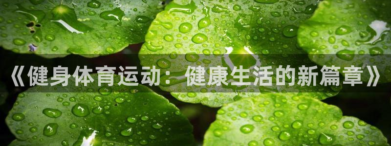 领航国际vk
