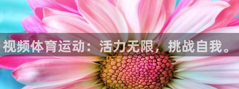 领航国际体育注册代理