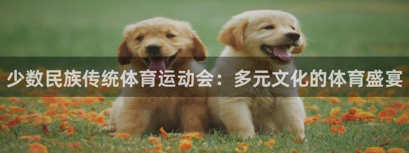 领航国际体育免费注册入口