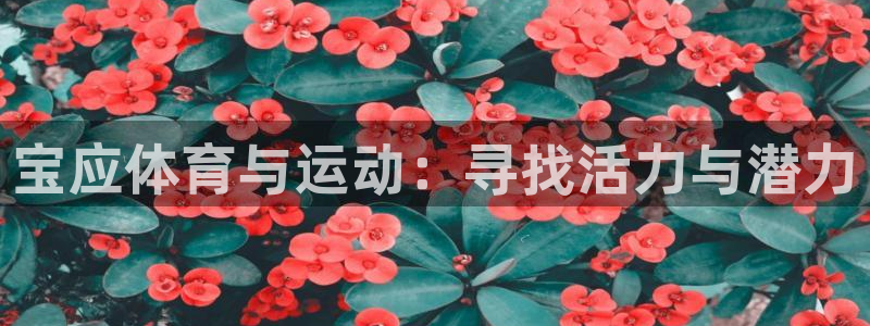 领航国际体育3