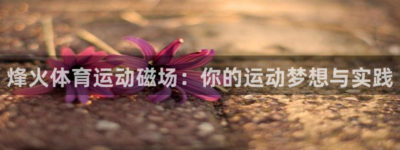 领航国际