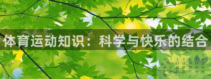 领航国际代理注册