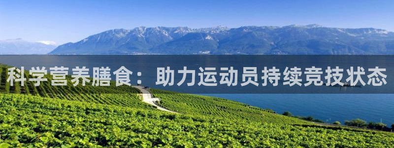 领航国际体育注册