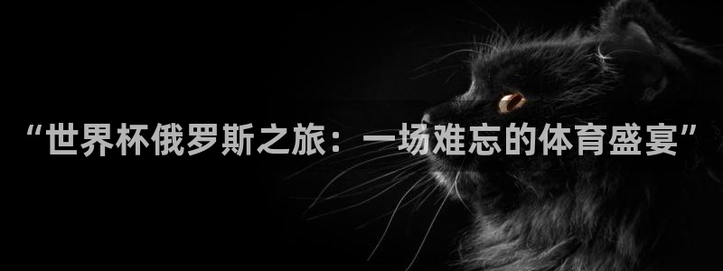 领航国际vk