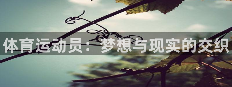意昂体育2