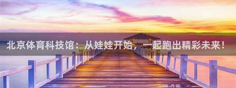领航国际