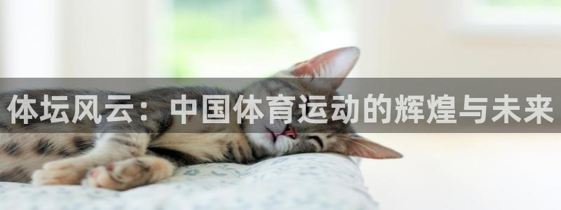东莞市大朗意昂五金厂