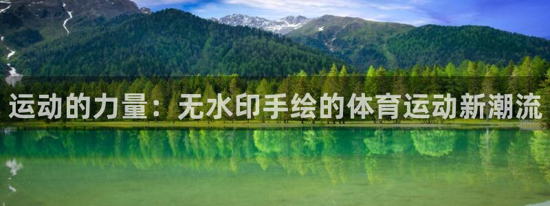 领航国际体育平台登录入口