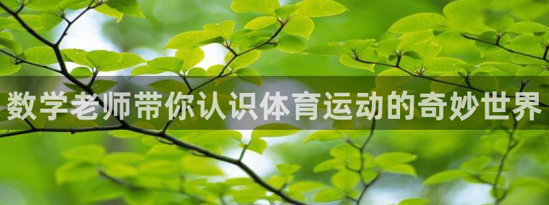 领航国际平台注册入口