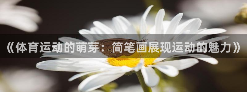 领航国际平台注册
