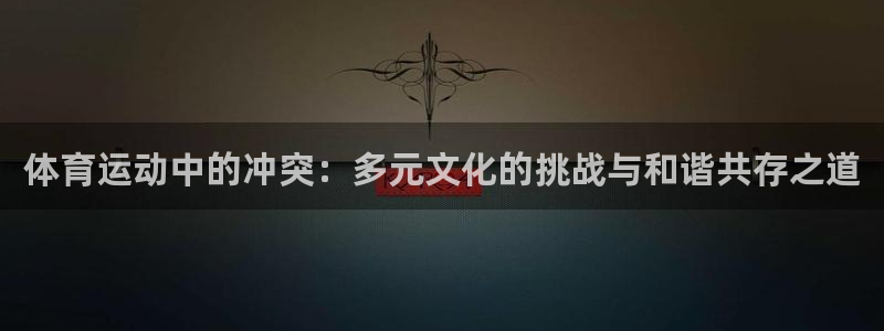领航国际平台