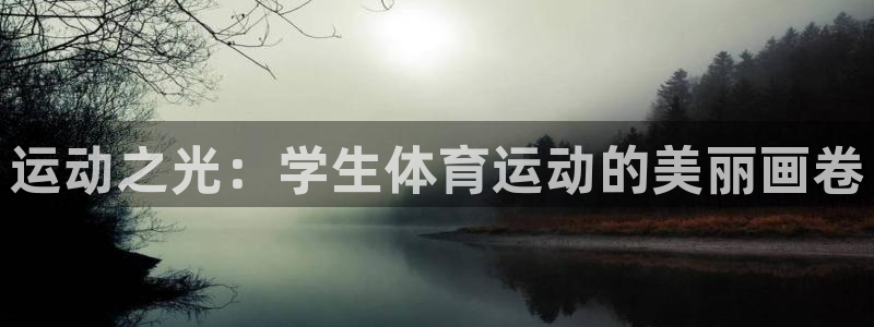 领航国际股份