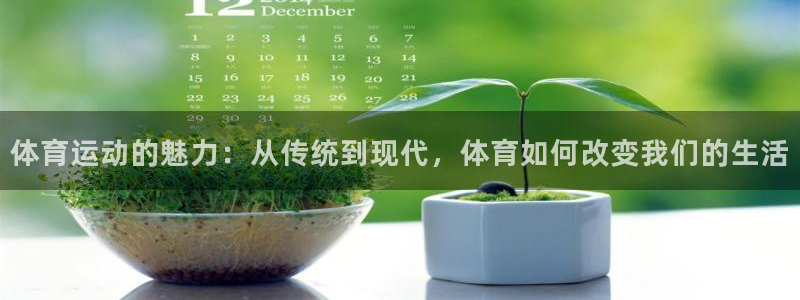 领航国际kgame