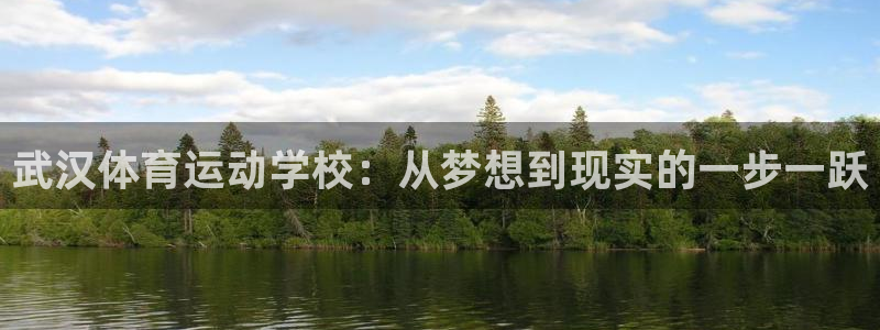 领航国际体育官网